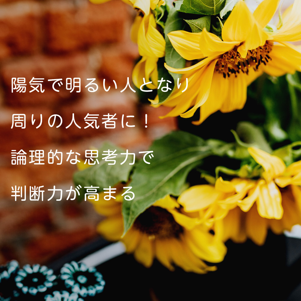 陽気で明るい人となり周りの人気者に！
論理的な思考力で
判断力が高まる