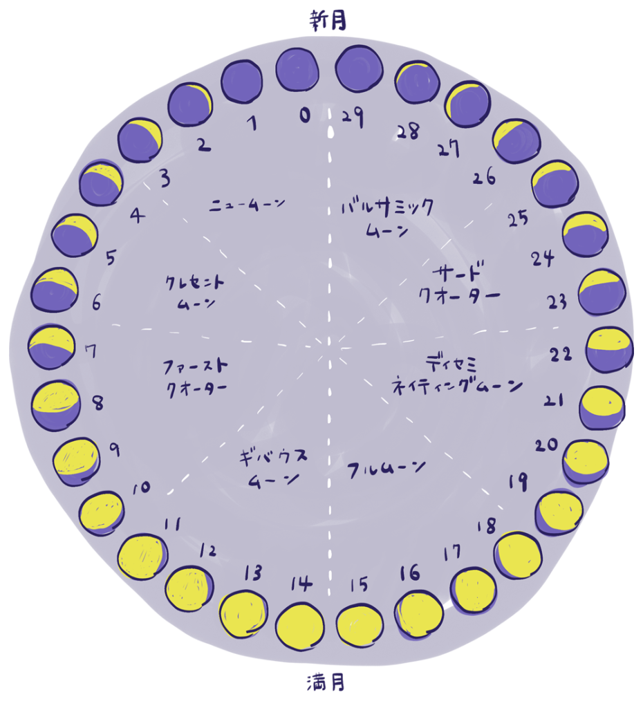 月相の図