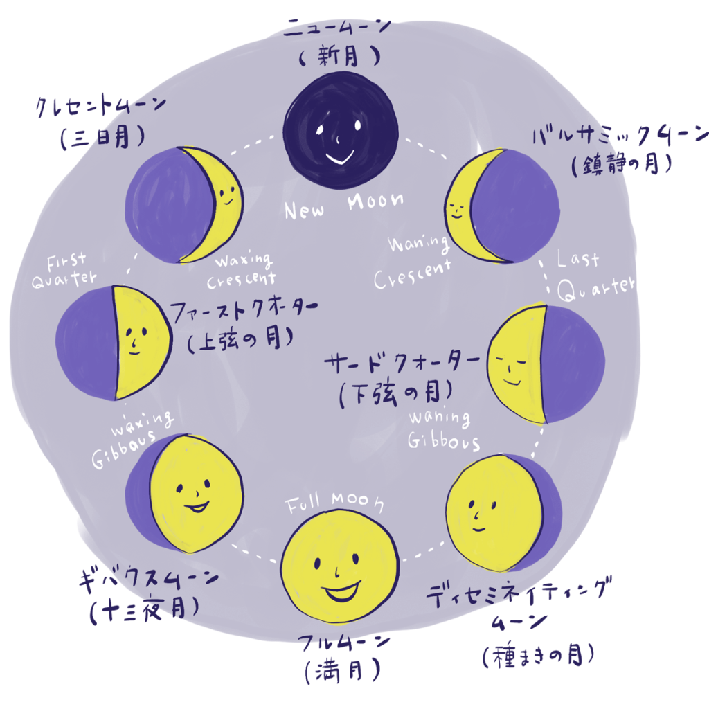 月相の図